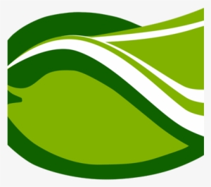 Green Mango Books - Green Mamgo Png