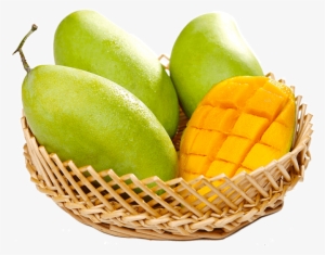 Lightbox Moreview - Mangifera Indica