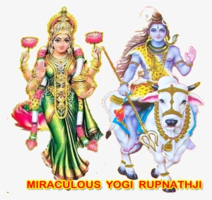 Wife Vashikaran Call Divine Miraculous Kali Sadhak