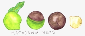 I Have Worked For Good Food And Currently Write For - Child Art