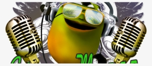 Green Mango - Shure Super 55 Deluxe Vocal Microphone (chrome)