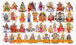 Enjoy Full Life Call Divine Miraculous Vaksiddha Maha - Yogi