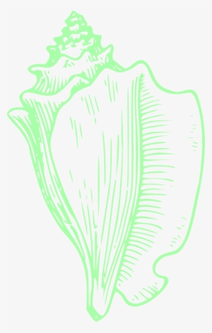 How To Set Use Green Shell Wedding Clipart