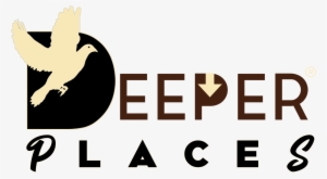 Search For - - Concealer