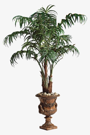 Palm Tree Png Image Large Size - Potted Palm Tree Png