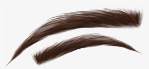 Eyebrows Eye Eyes Iris Brown - Picsart Hair Colour Png