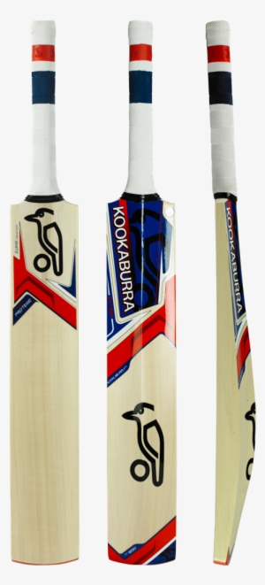 The Ignite Cricket Bat - Kookaburra Cricket Bats