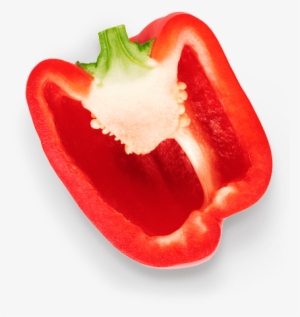 Left Vignette - - Red Bell Pepper