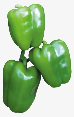 Green Capsicum - Bell Pepper
