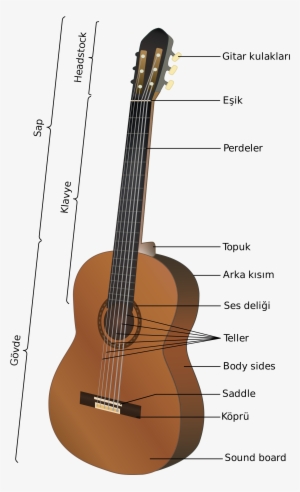 Open - Partes De La Guitarra