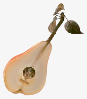 Tubes Musiques - .net