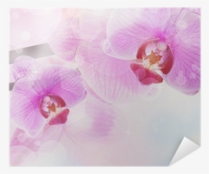 Orchid Flower Background, Tender Blur Colors And Bokeh - Photography