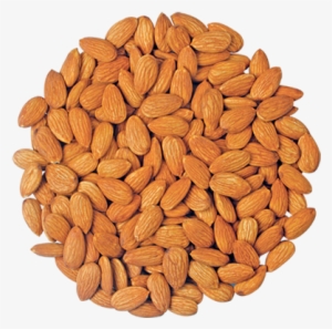 Almonds - Almond