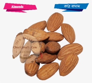 Almonds Kath Badam 3 - Almond