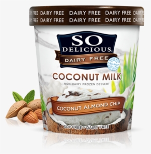So Delicious Dairy Free - So Delicious Coconut Ice Cream Vanilla Bean