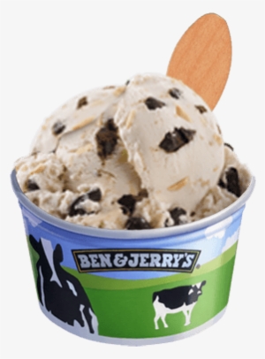 Coconut Almond Fudge Chip Bulk - Chip Off The Dough Block Ben And Jerry's