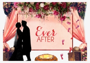 Indian Wedding - Rose