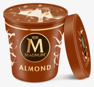 Magnum Ice Cream Pint