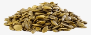 Png Images Stickpng Pumpkin Without Shell - Pumpkin Seed Pn G