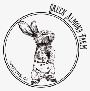 Green Almond Farm Is Owned And Operated By Uc Davis - Easter