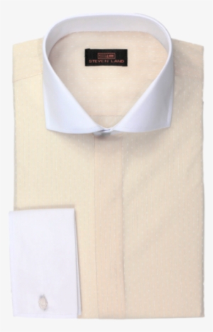 Textured Stripe Dress Shirt - Formal Wear