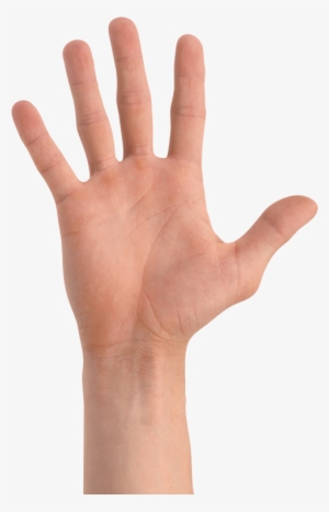 The White Box Approach - Cartazes Museu Da Casa Brasileira