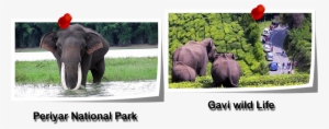 Kerala - Thekkedy - Tirupati