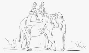 This Is Kept As A Protected But Visitor Friendly Area - Wildlife Sanctuary Drawing