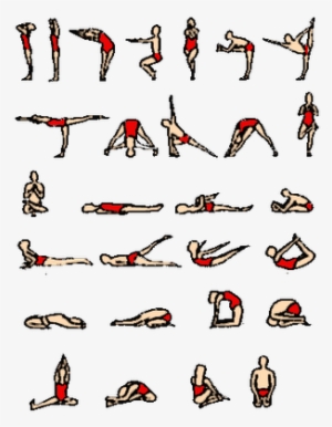 All Type Of Yoga Asanas