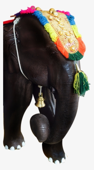 2017 Omar Shariff - Indian Cuisine