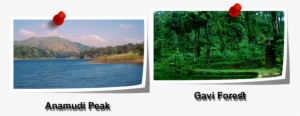 Periyar National Park And Wildlife Sanctuary Is A Protected - Tirupati