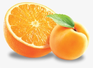 Orange Apricot - Tangerine