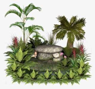 Plants And Rocks - Rocks And Plants Png