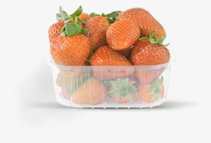 Punnet Of Strawberries - Clementine