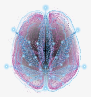 Montag - Freitag 10 - 00 - 19 - 00 - Samstag 10 - 00 - Macro Photography