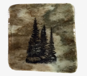 Small Group Of Trees - Grove