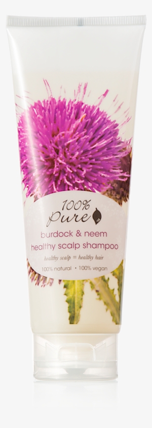 100 Pure Burdock Neem Healthy Scalp Shampoo 8.0 Oz