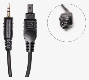 Nikon Dc1 D70 Cable For Emotimo Spectrum St4 - Nikon