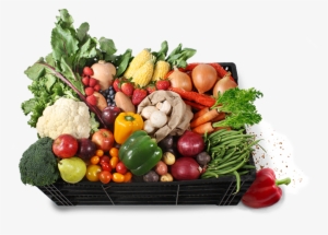 Harvest Share Food Box - Carron Farms Harvest Share