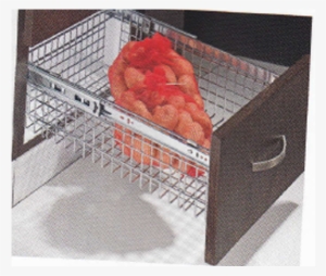 More Views - Prima Series