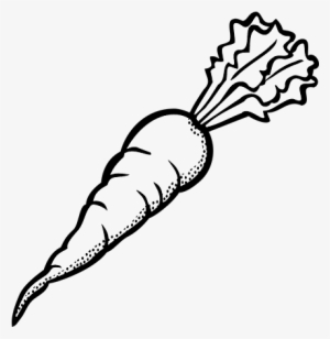 Receive A Weekly Vegetable Basket In Ottawa With Fresh - Carrot Clipart Black And White