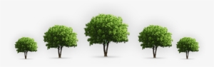 Each One Plant One Tree Essay - Plant A Tree Png