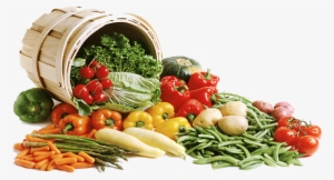 Veggie Basket Enjoy Shared Vegetarian Meals And Satsang - Basket Full Of Vegetables