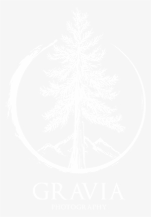 Jl - Prof - Dr - Sutami No - 78, Sukarasa, Sukasari, - White Raven