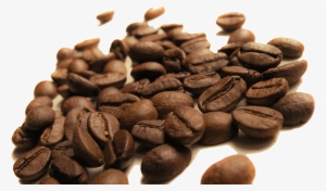 Our Coffee Beans Originate From 16 Different Countries,