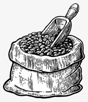 Coffee Beans Clipart Colombian Coffee - Coffee Beans Sketch Png