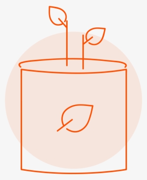 Organic Plant - Organic Food