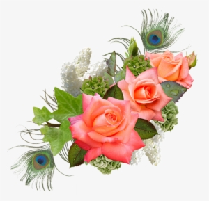 Rose, Rose Flower, Hydrangeas, Lilac, Peacock - Png Format Flowers Hd Png