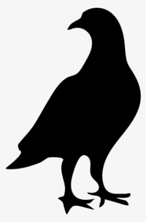 Pigeon Bird Shape Vector - Pigeon Icon