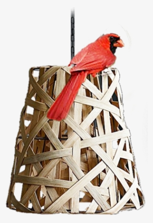 We Strive To Make Your Dream - Pendant Light